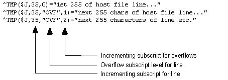 Host File: Overflow lines in a Host file sample
